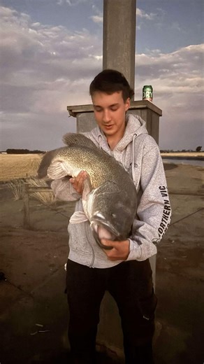 90cm cod on an old mate in the channel
