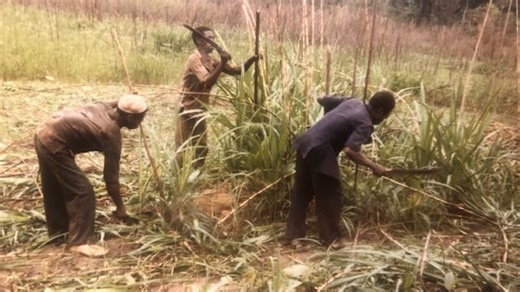 OPINION: We need the Peace Corps more than ever. Congress, support a funding boost.