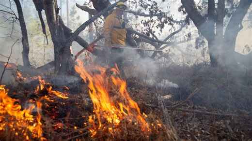Seeing smoke? Wildlife Resources Commission advises to check prescribed burns dashboard