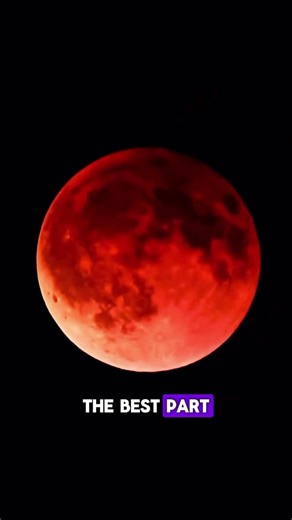 eclipse alert‼️ 12h countdown #lunareclipse2026 #spacefacts #space #moon #astronomy #bloodmoon #fact