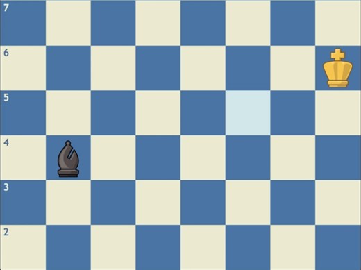 儿童国际象棋chesskid-008Checkmate