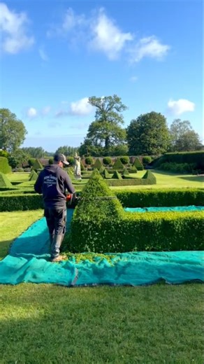 9K views · 8.6K reactions | Buxus trimming on some beautiful parterres . . . . . . . #plants #garden #gardening #reels #nature #design #creative #style #satisfying #hedgecutting #gardenlove #buxus #parterre | The Hedge Barber | Facebook