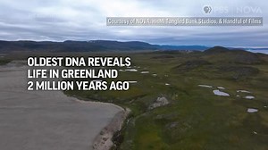 Oldest DNA reveals life in Greenland 2M years ago