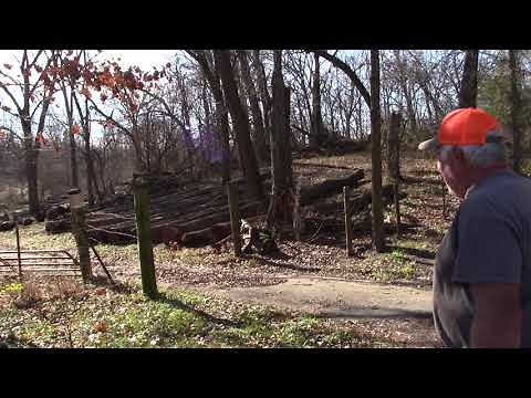 How much could a Walnut Tree be worth - Near Ozark Missouri