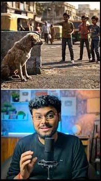কুকুর হঠাৎ কেন চেঁচায়!? 🐕