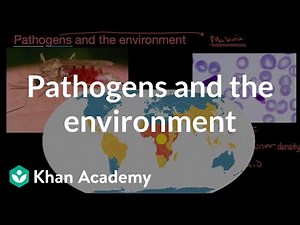 Pathogens and the environment| AP Environmental science| Khan Academy