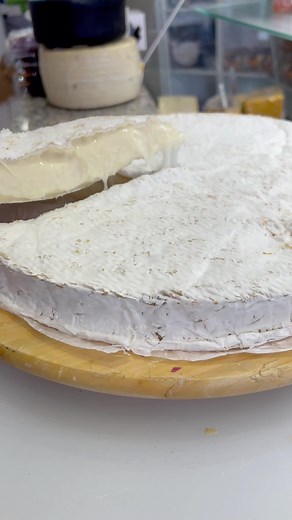 How Brie Cheese is Made: An Inside Look