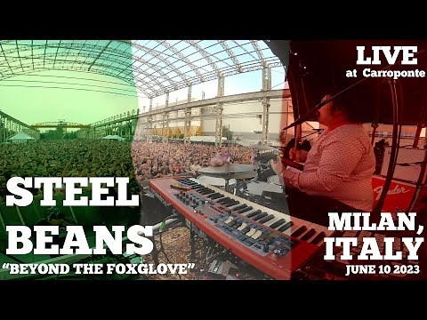 STEEL BEANS LIVE at the Carroponte: "Beyond the Foxglove" June 10th 2023
