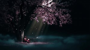 635K views · 44K reactions | Los Primos MX- Mi Bello Ángel Gracias por ver, y si te gusto el vídeo favor de visitar nuestro Canal De YouTube dar manita arriba y suscribirte. ;) Canal De YouTube: https://www.youtube.com/channel/UCYkt2vuP2DwRfazpbqU34Tw/playlists?view_as=subscriber Donaciones: https://www.paypal.com/cgi-bin/webscr?cmd=_s-xclick&hosted_button_id=QZPLMFNEDVTPS&source=url | DJ LOLIS | Facebook