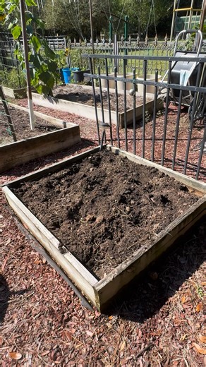 Time to move the red wigglers to their new home! | The Charm of Country Life