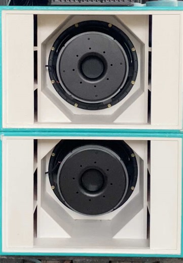Speaker Subwoofer TBS D21-2: Inovasi Terbaru untuk Karnaval