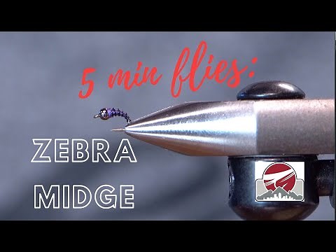 Tungsten Zebra Midge | FLY TYING TUTORIAL