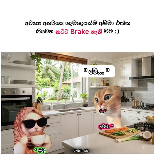 Room ගියා කියලා මාට්ටු 😪❤️