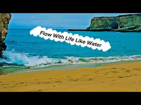🌿 Life Cool Nature | Ocean of Peace & Healing Sounds 🌊