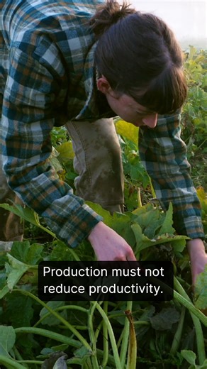 7.5K views · 140 reactions | Preserving Our Future: The Essential Art of Sustainable Land Management. Explore how traditional wisdom and careful stewardship ensure our lands remain fertile and productive for generations, transcending mere extraction. | Sustainable Human | Facebook