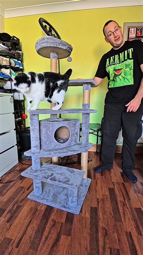 Lovely cat tree from Pets At Home #cattree #scratchingpost #cats #cat #pet | Ryan Windridge