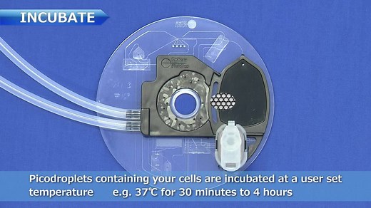 sphere 开创性高通量单细胞克隆筛选系统操作演示