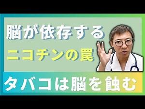 [Doctor's Explains] What Effects Does Smoking Have on the Brain? Risks to Concentration, Memory, ...