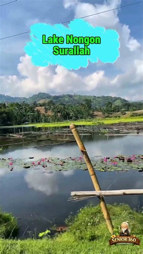 POV: Quiet Morning at Lake Nongan… #shorts