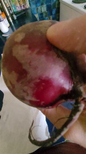 LONGER LASTING BEETROOT STORAGE HACK😛