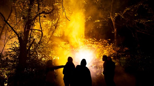 5 magical reasons why you should visit Cincinnati's new interactive 'Harry Potter' forest