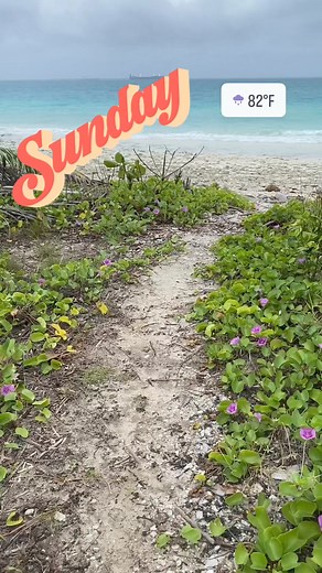 13 reactions | relaxing Sunday #tropical #nature #beach #travel #summer #paradise #tropicalvibes #love #photography #ocean #island #vacation #instagood #beautiful #islandlife #art #photooftheday #plants #flowers #caribbean #sea #naturephotography #sunset #travelphotography #beachlife #fish #garden #travelgram #palmtrees #hawaii | Jeff Nicholas | Facebook