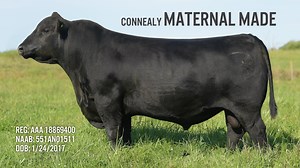 26 reactions · 16 shares | #ThursdayThoughts: If you value structural...