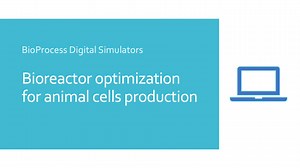Simulator 'Bioreactor optimization for animal cells production'