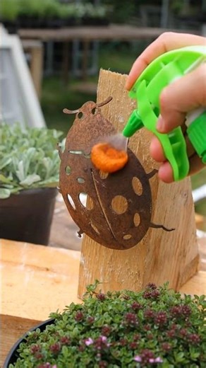 Rust restoration process