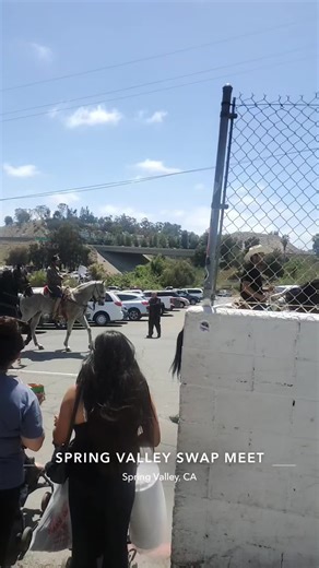 Spring valley swap meet 🥰 they brought they horses out!! #springvalleyswapmeet #fypシ゚viral #sunnysandiego