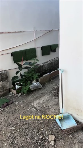 Cute Puppies Doing Adorable Things!