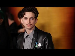 Timothée Chalamet Shocks as SNL Host AND Musical Guest: Dylan Hits Live!