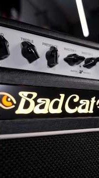 This Cat Bites! | Bad Cat CUB15