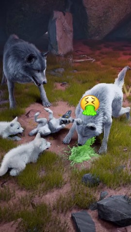 【New Event Alert!】Download the Wolf Game for FREE and get ready to win BIG rewards!