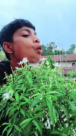 610K views · 5.5K reactions | Food  Jelly Ball Lollipop  Chocolate  Funny  Video #food #asmr #jelly #chocolate #lollipop #funny #video | op Funny | Facebook