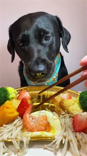 The season for eating strawberries is finally here ~ Oh my god, it tastes so good. The 🎁 P75