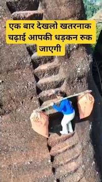 Unchi Chadhai Hi Asli Jeet Hai 💪🔥 | Never Give Up #Shorts #viralvideos #motivation