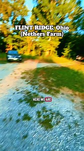 Rock hounding at Nethers Farm, Flint Ridge, Ohio | Nikki Barger