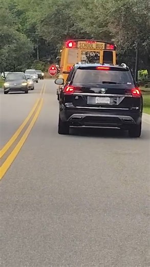 Offence of passing a stopped school bus
