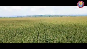 Wollega University Ukke Research and demonstration center | Wallaga University Corporate Communications