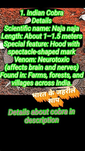 Indian Cobra (नाग) | Biology, Taxonomy & Amazing Facts of Naja naja @ManojPandeyEducator#short