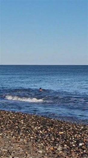 Man, that was some drop in the sea today! Like the drop-off in Finding Nemo lol😝🤣🏝🏊🏖🌊#lostocean #sea