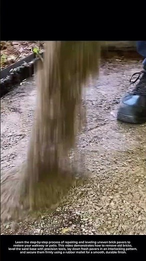 How to Repair Brick Pavers Like a Pro 🛠️ #pavers #diy #paving