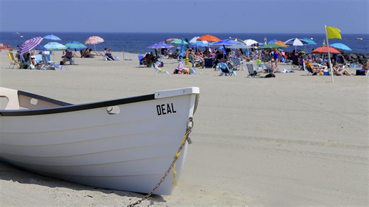 Dolphin stranded on Deal beach had deep shark bites, Marine Mammal Stranding Center said