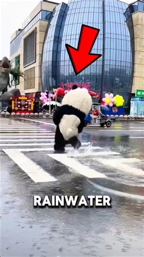 Rain Water 💧Under The Microscope 🫨😱