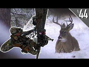 CRAZY ENCOUNTER with a BUCK! - ARROW RELEASED! | South Dakota Bowhunt