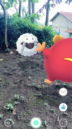 Wool Vs Fire Pokemon #349 #pokemon #ポケモン