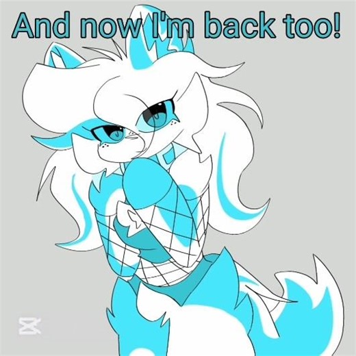 I'm back too #mika #mikakit #kitcommunity #haters #mikahater