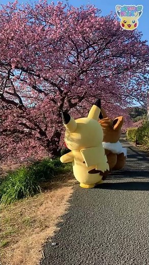 Pokémon Shorts - Berry over Flower - | Pokémon Fun Video | Pokémon Kids TV​ #Shorts