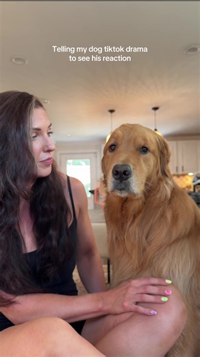 Golden Retriever's Adorable Reaction to TikTok Drama